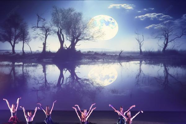 Dansvoorstelling De magische bibliotheek - De Muzen