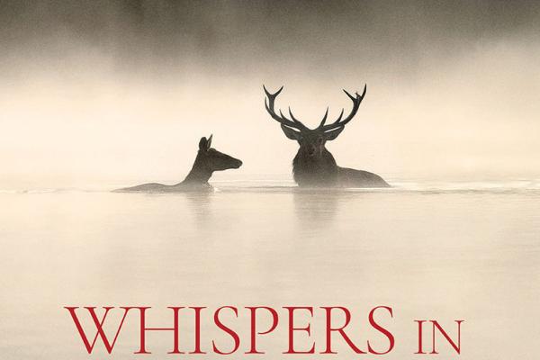 Film: Whispers in the Woods