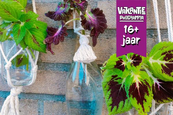 Maak een planten-stekstation