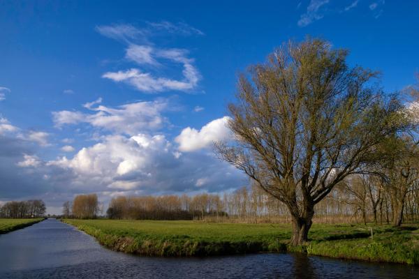 Voorleesochtend & Binnenronde