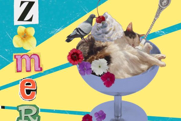 Workshop illustratie en collage: zomerse picknick