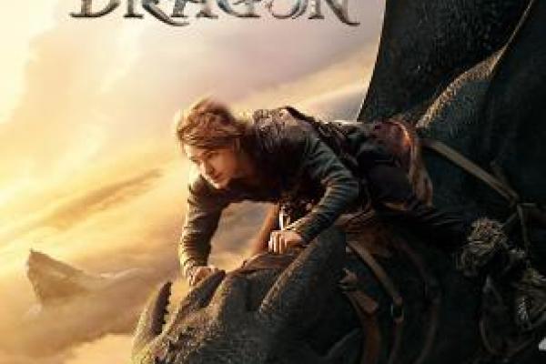 FILM: How to train your dragon