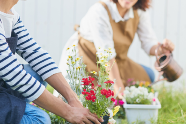 Lezing: Niet de makkelijkste tuinplanten