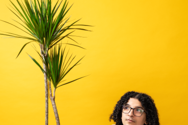 En verbied de vogels om te fluiten - Ayoub 