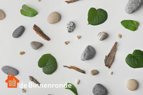 Binnenronde: DIY Natuurmuseum