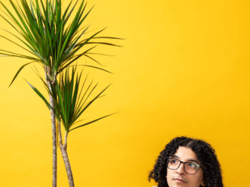 En verbied de vogels om te fluiten - Ayoub 